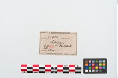 Etiketten zu Bronzearmreif (NHMW-PRAE-023986)